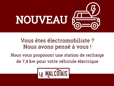 Borne de recharge voiture électrique